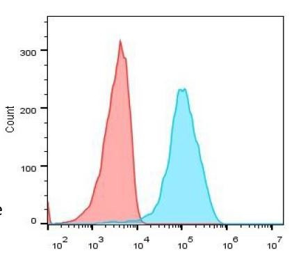 Anti-MGMT, clone SQab1861