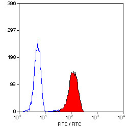 Anti-CD62L / L-Selectin (FITC), clone FMC46