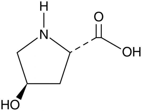 trans-4-hydroxy L-Proline