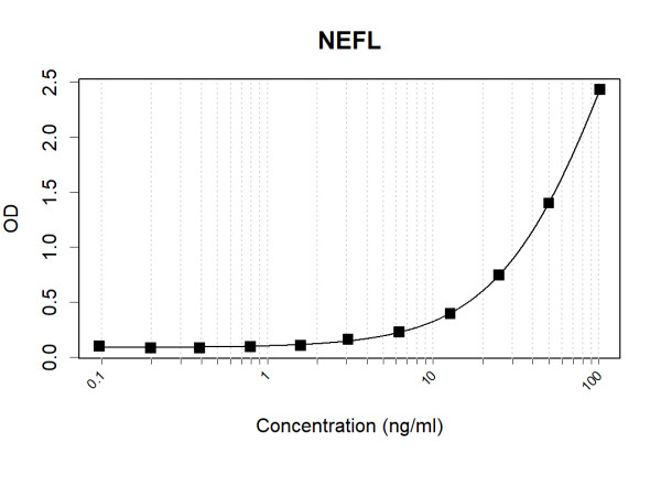 Anti-Human NEFL Antibody Pair