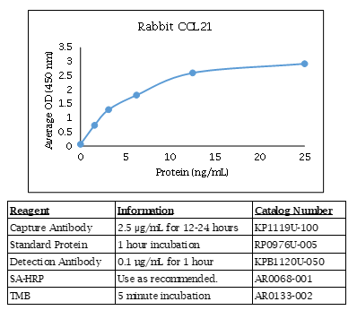 CCL21 (rabbit) Do-It-Yourself ELISA