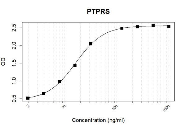 Anti-Human PTPRS Antibody Pair