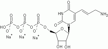 Aminoallyl UTP (5-(3-Aminoallyl)-uridine 5-triphosphate, trisodium salt) *4 mM in TE buffer*