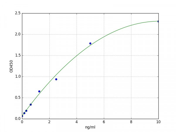 Human Retinoic Acid Receptor Alpha / RAR alpha ELISA Kit