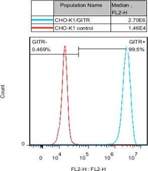 CHO-K1/GITR Stable Cell Line