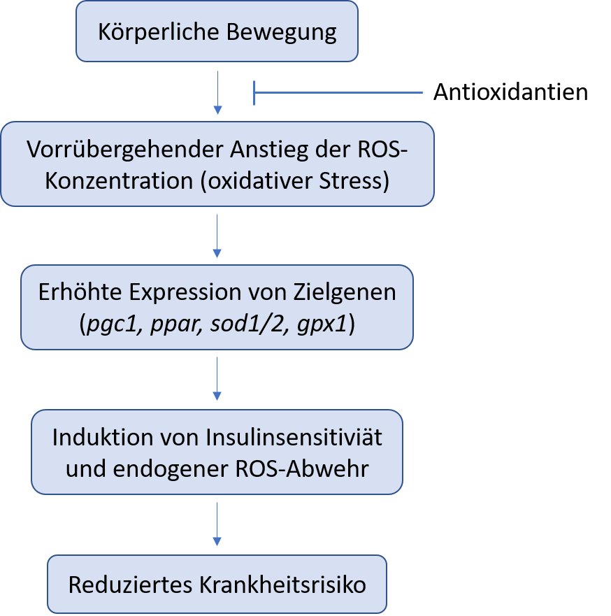 ROS_Image_DE