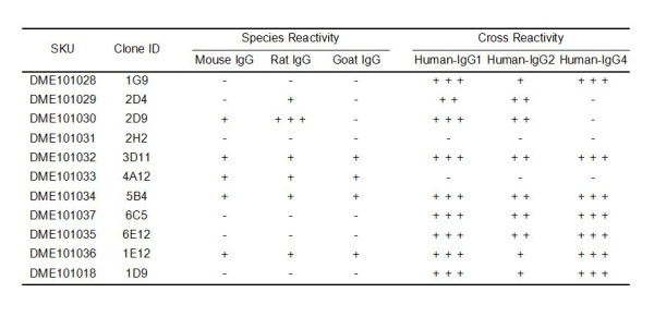 Anti-Human IgG antibody(1G9), Rabbit mAb