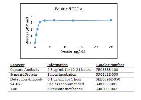 Anti-Vascular Endothelial Growth Factor-A (VEGF-A) (equine)