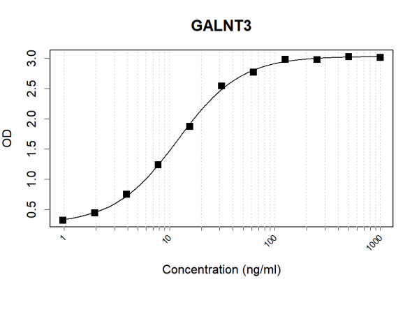 Anti-Human GALNT3 Antibody Pair