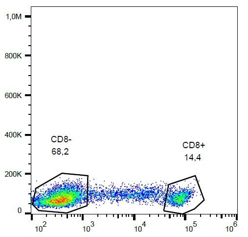 Anti-CD8, clone MEM-31 (PerCP)