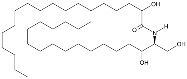 C18 ((±)-2'-hydroxy) dihydro Ceramide (d18:0/18:0)