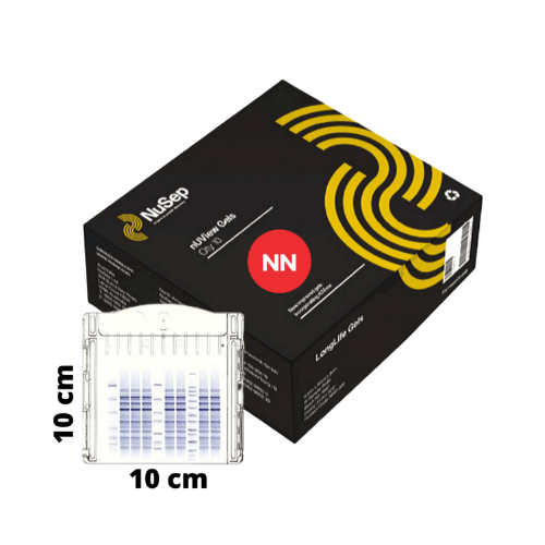 nUView Tris-Glycine SDS-PAGE Precast Gel 8-16% 10 well, Fits Thermo Fisher Mini Gel Tanks,10/PK
