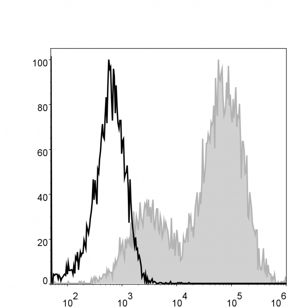 Anti-MHC II (I-A/I-E) (mouse), clone M5/114, PE/Cyanine5-conjugated