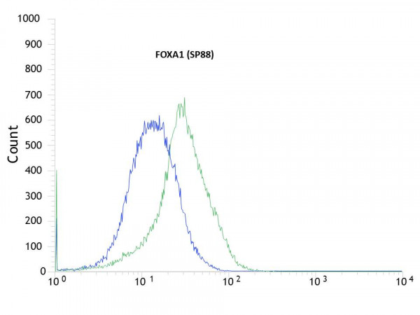 Anti-FOXA1, clone SP88