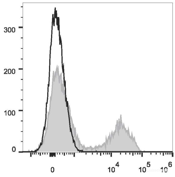 Anti-Mouse CD5 (PE Conjugated)[53-7.3], clone 53-7.3