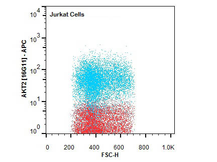 Anti-AKT2 Allophycocyanin Conjugated, clone 16G11.E8
