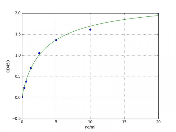 Human FOXO3 / Forkhead box protein O3 ELISA Kit