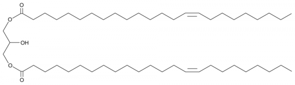 1,3-Dinervonoyl Glycerol