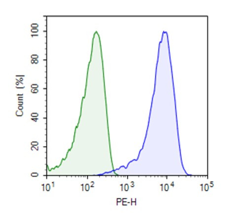 TCR Knockout NFAT-Luciferase Reporter Jurkat Cell Line