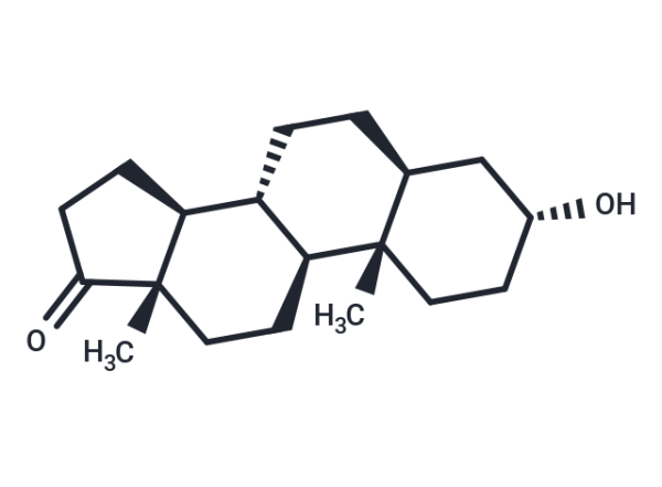 Androsterone