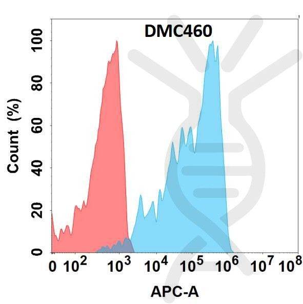 Anti-FGFR4 antibody(DMC460), IgG1 Chimeric mAb