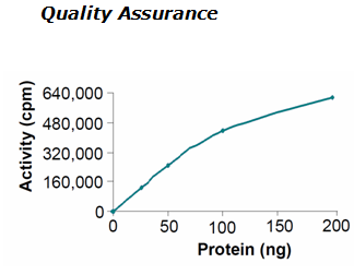 FGR, active human recombinant protein