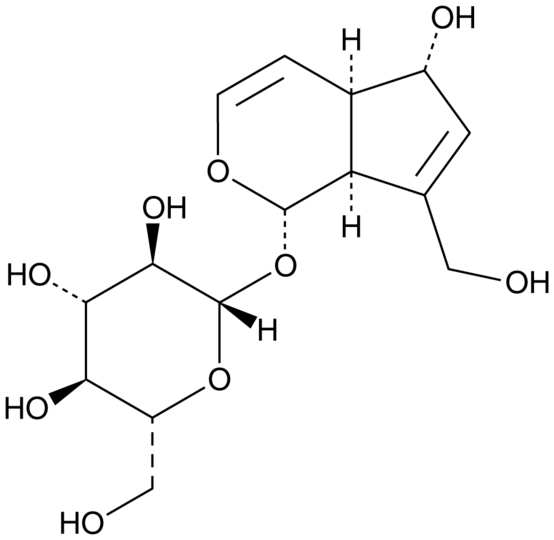 Aucubin