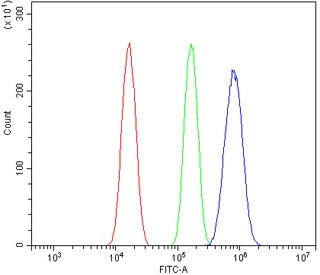 Anti-Aryl Hydrocarbon Receptor / Ahr