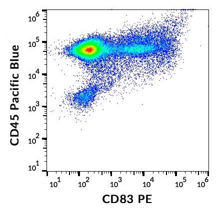 Anti-CD83 (PE), clone HB15e