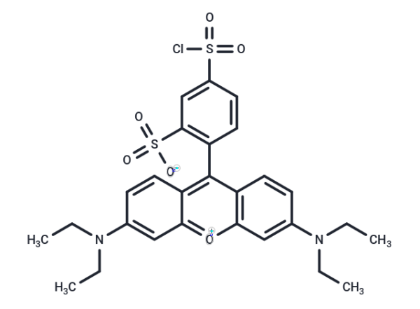 Lissamine rhodamine B sulfonyl chloride