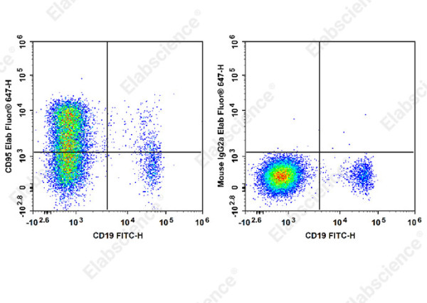 Anti-CD95/Fas, clone HFE7A/APO, Elab Fluor(R)647 conjugated