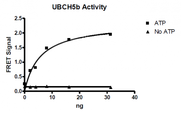UBCH5b TR-FRET Assay Kit