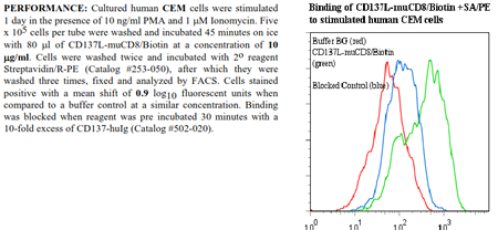 CD137L -muCD8 Fusion Protein, (human), Biotin conjugated
