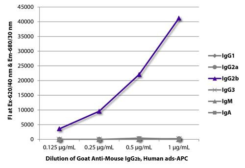Anti-Mouse IgG2b (APC), pre-adsorbed [Goat]