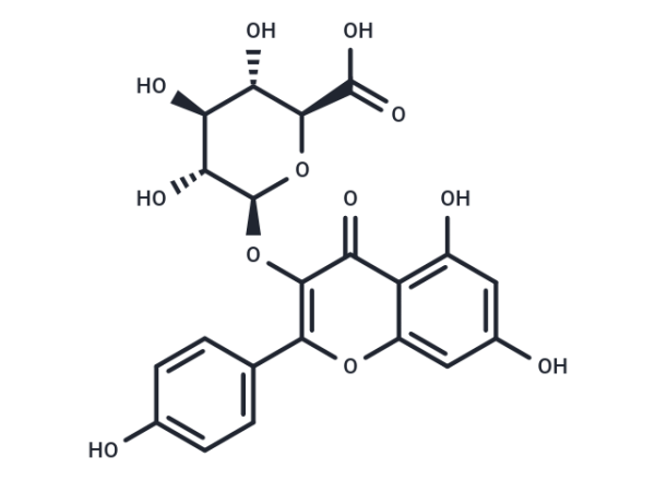 Kaempferol 3-O-beta-D-glucuronide