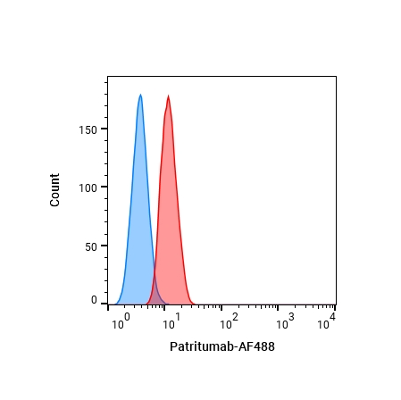 Anti-HER3 Antibody (Patritumab)