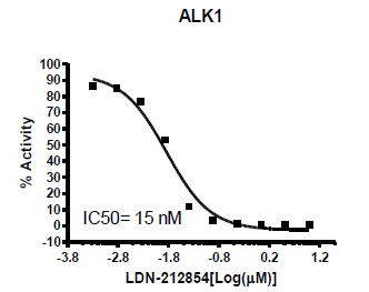 ALK1 (ACVRL1) Kinase Assay Kit