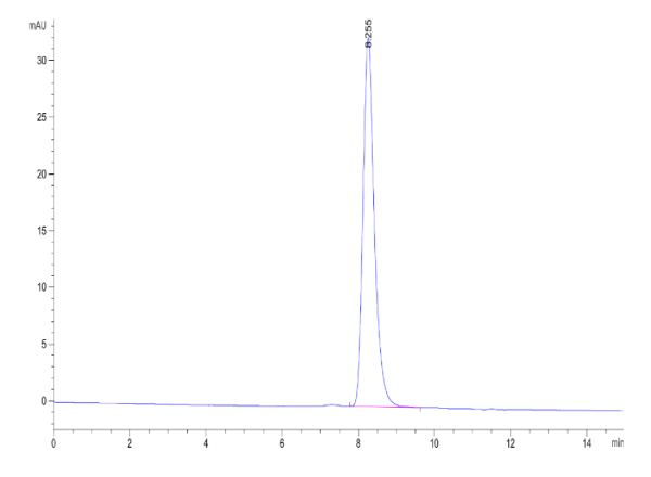 Human Musk (muscle, skeletal receptor tyrosine-protein kinase) Protein