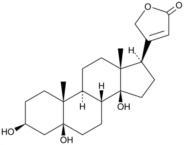 Periplogenin