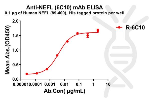 Anti-NEFL(89-400) antibody(6C10), Rabbit mAb