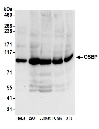 Anti-OSBP