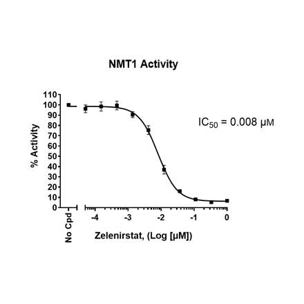 NMT1 Fluorogenic Assay Kit