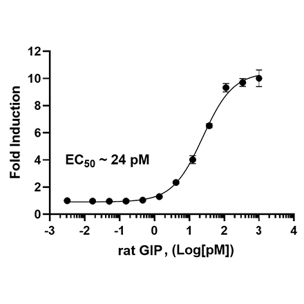 Rat GIPR/CRE Luciferase Reporter HEK293 Cell Line