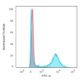 Anti-CD8A, clone RIV11