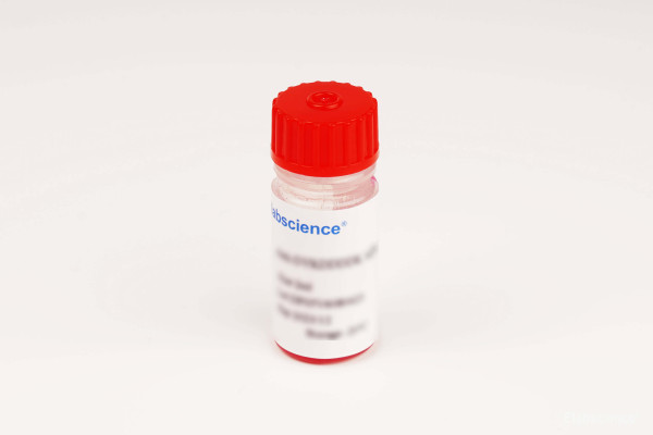 Anti-MYC(EQKLISEEDL) Affinity Agarose