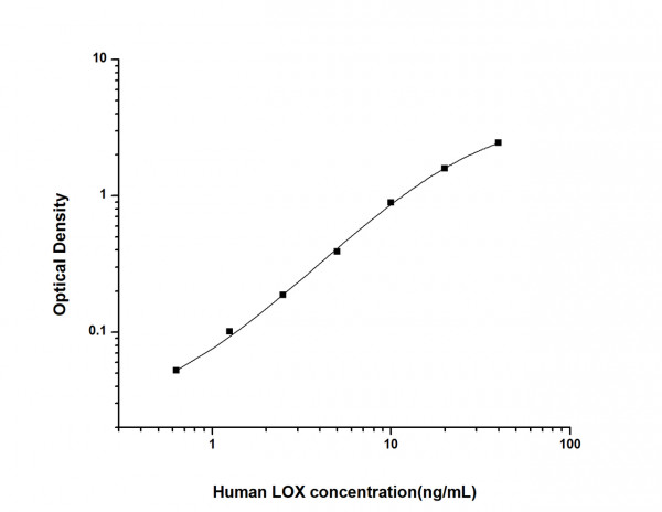 Human LOX (Lysyl Oxidase) ELISA Kit
