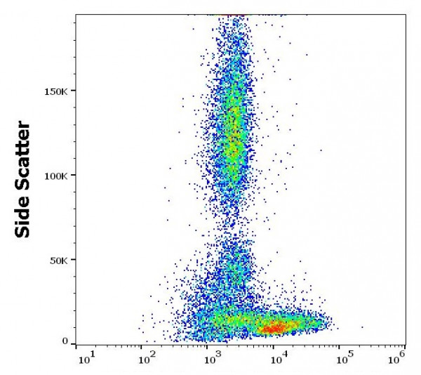 Anti-CD229, clone HLy9.25