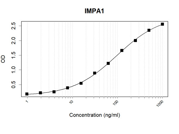 Anti-Human IMPA1 Antibody Pair
