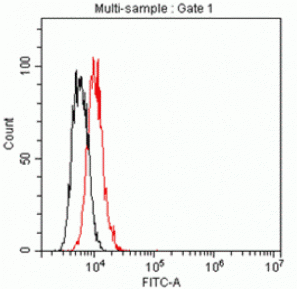 Anti-DLL4 (human), Unconjugated Clone B-D59