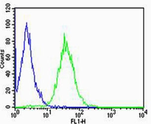 Anti-CD74, clone 1267CT820.116.140.154